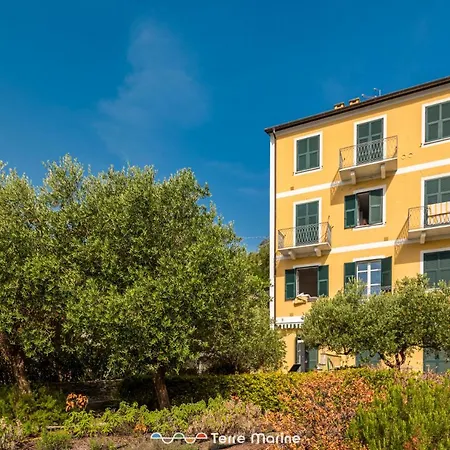 Pensieri Marini, Terremarine *