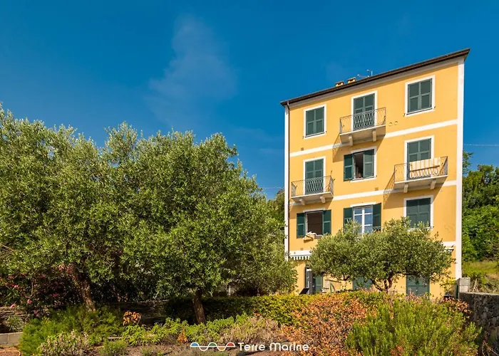 Pensieri Marini, Terremarine *